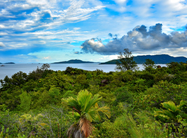Land for sale seychelles
